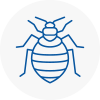 Bed Bug Extermination In Walton On Thames